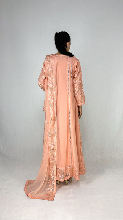 Melon Chiffon Anarkali Gown Maxi Dress Embroidered Long Frock Back Look