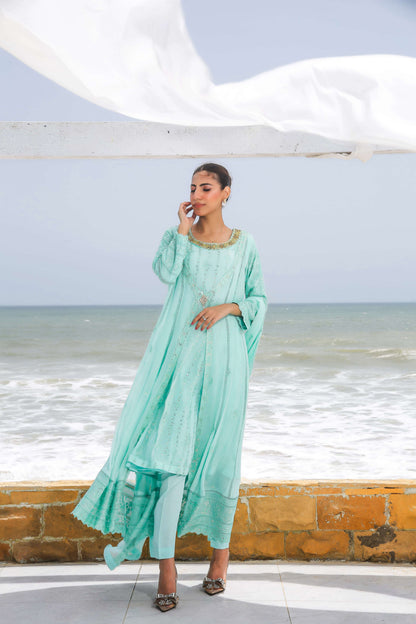 Light blue embroidered gown front view